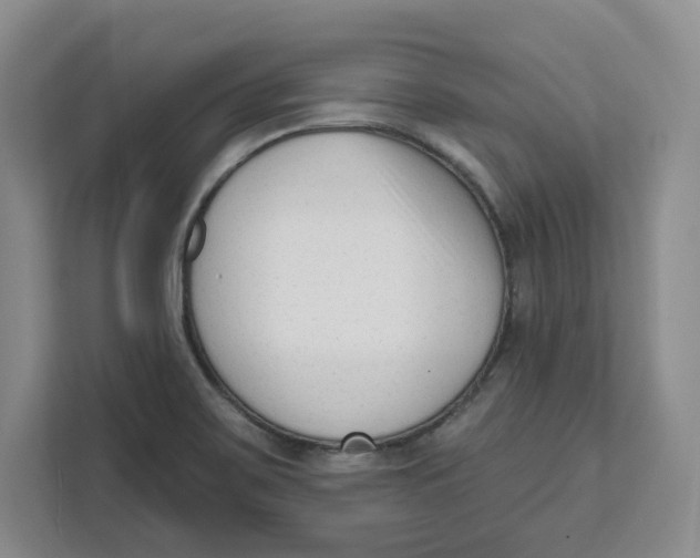 X0000111621467200908071341