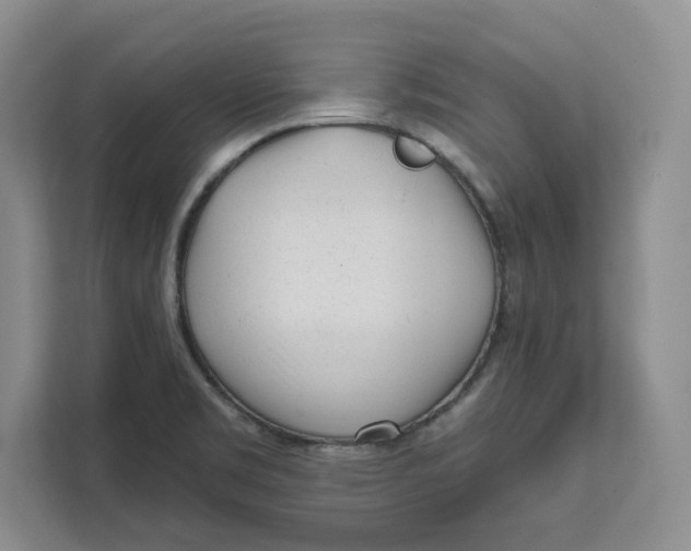 X0000111621469200908071341