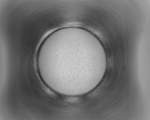 X0000111621470200908071341