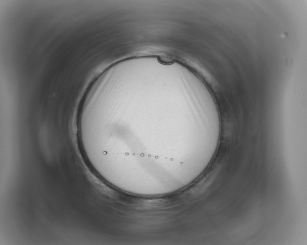 X0000111621471200908071341