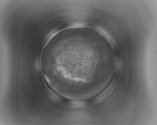 X0000111621473200908071341