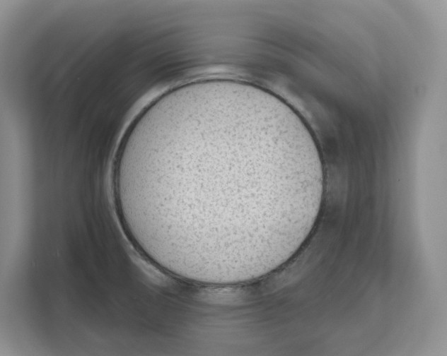 X0000111621474200908071341