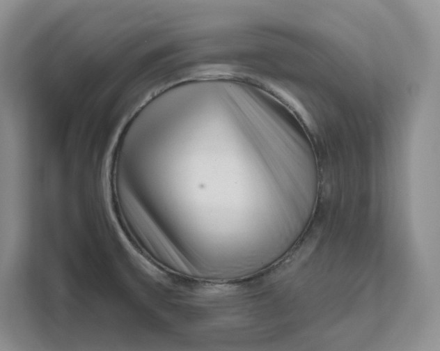 X0000111621475200908071341