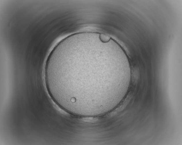 X0000111621478200908071341