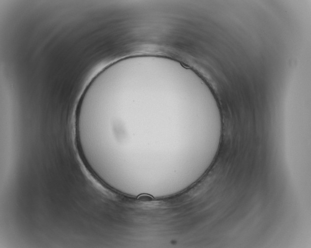 X0000111621479200908071341