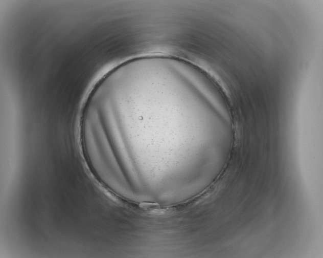 X0000111621480200908071341