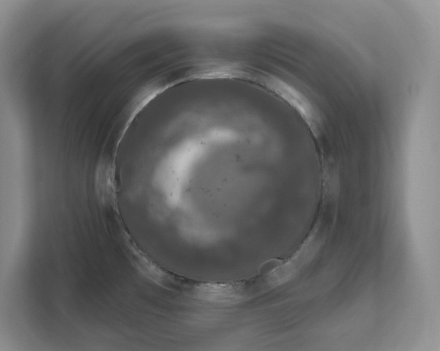 X0000111621481200908071341