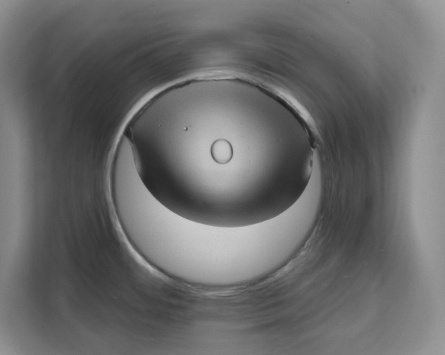 X0000111621484200908071341