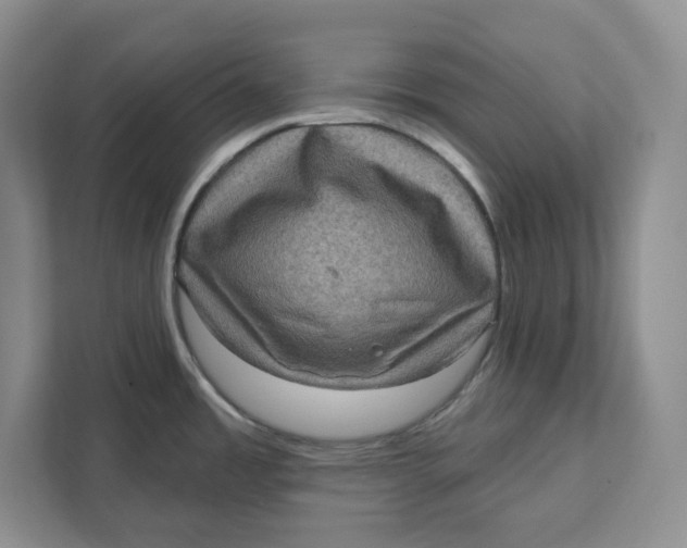 X0000111621485200908071341