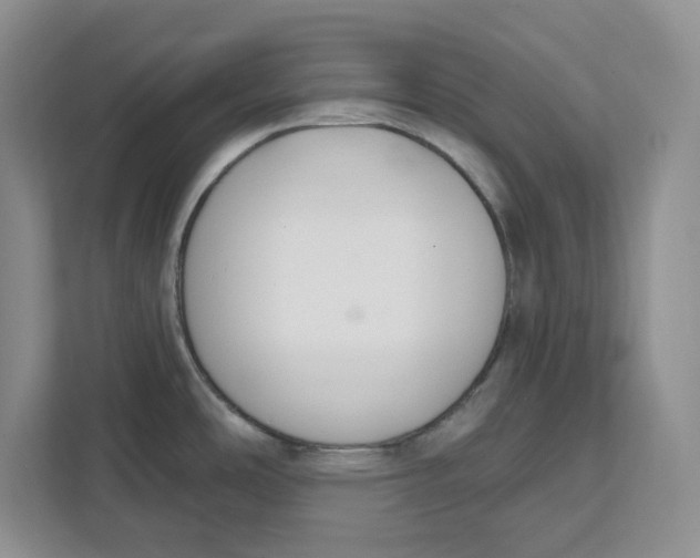 X0000111621486200908071341