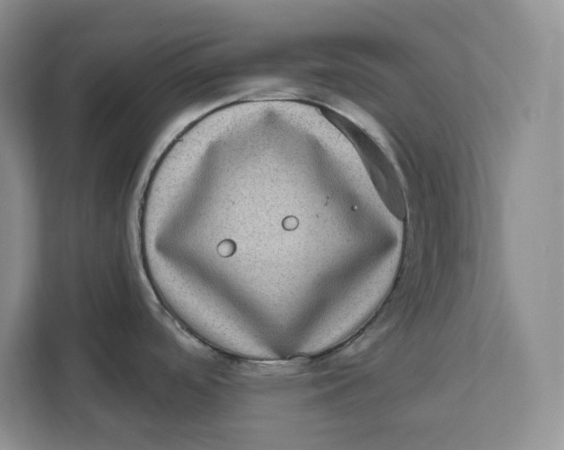 X0000111621488200908071341