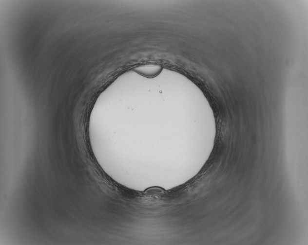 X0000111621489200908071340