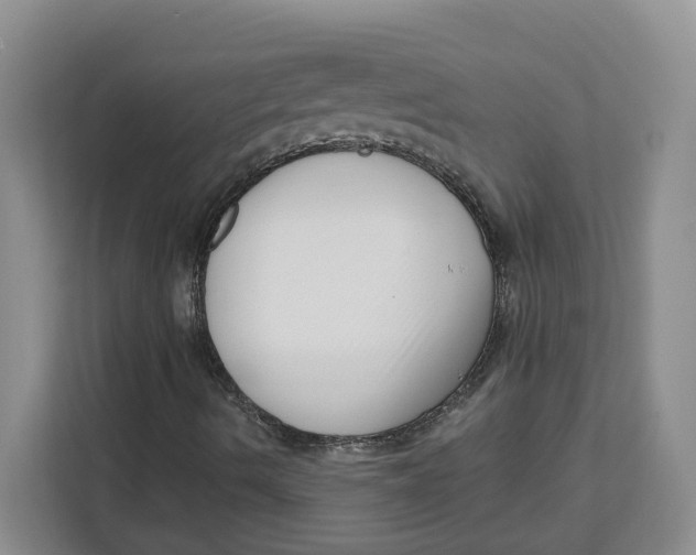 X0000111621490200908071340