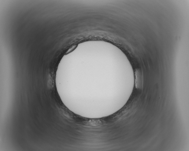 X0000111621491200908071340