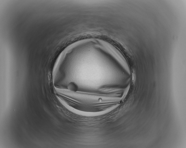 X0000111621492200908071340