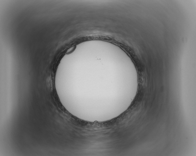 X0000111621493200908071340