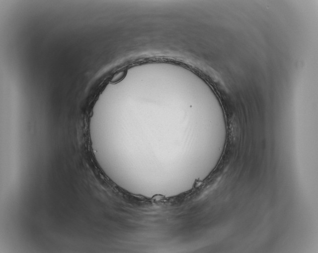 X0000111621494200908071340