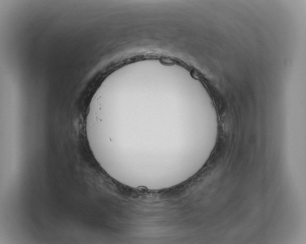 X0000111621495200908071340