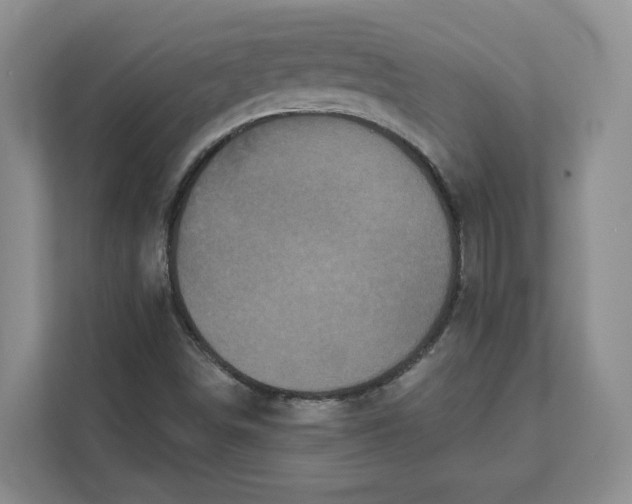 X0000111621498200908071340