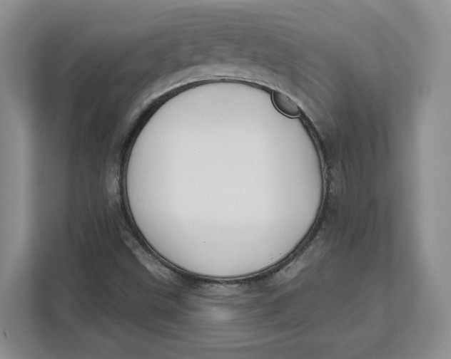 X0000111621499200908071340