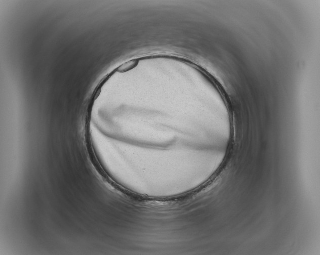 X0000111621500200908071340