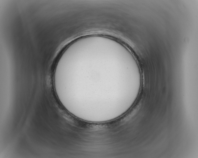 X0000111621501200908071340