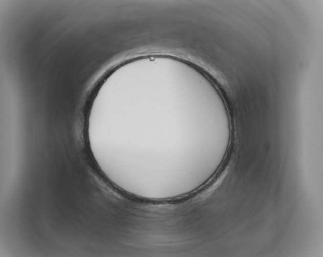 X0000111621502200908071340