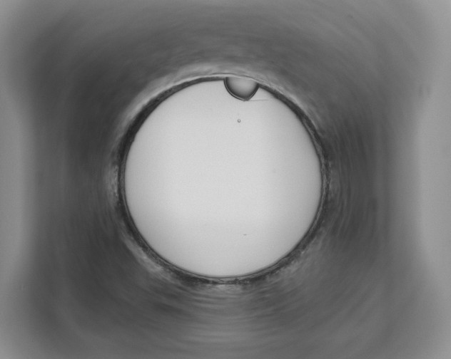 X0000111621503200908071340