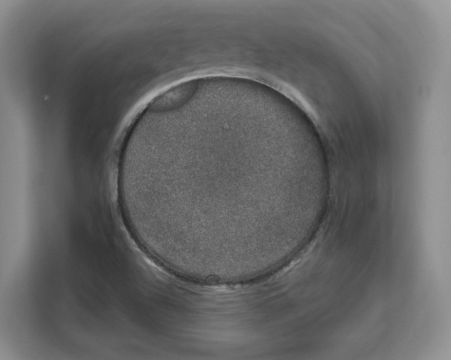 X0000111621504200908071340