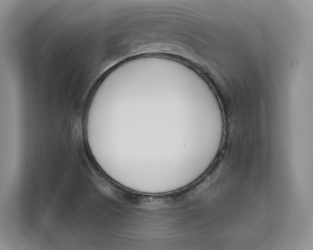 X0000111621505200908071340