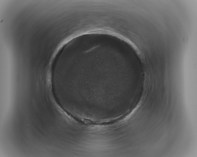 X0000111621506200908071340