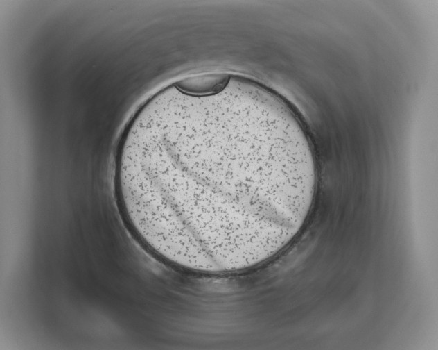 X0000111621508200908071340