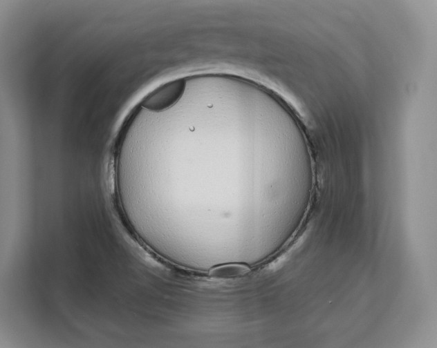 X0000111621510200908071340