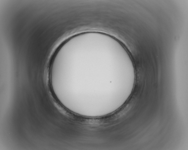 X0000111621511200908071340