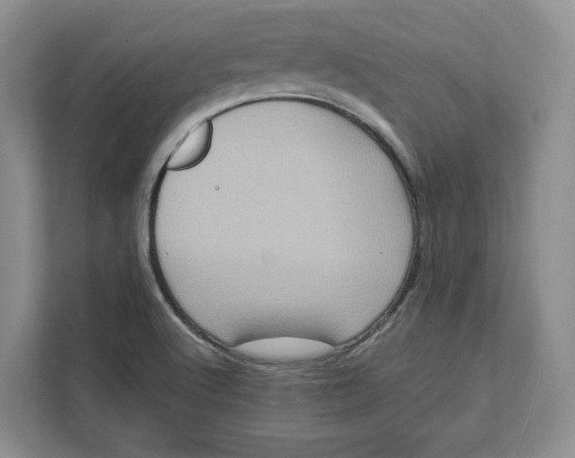 X0000111621512200908071340