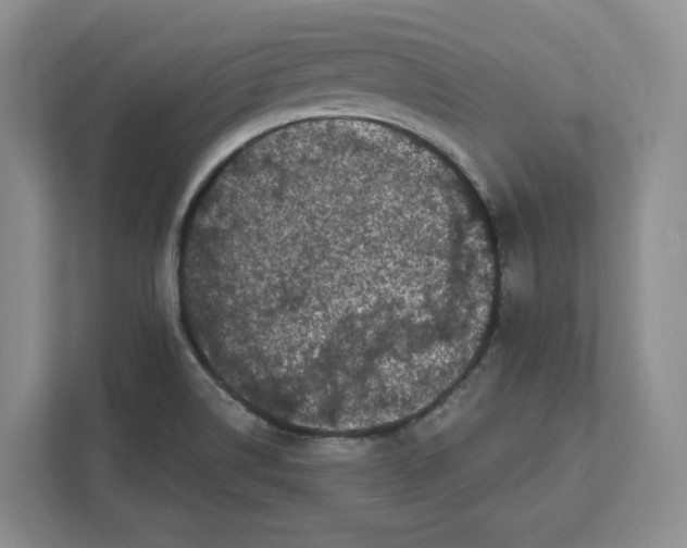 X0000111621514200908071340