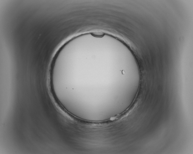 X0000111621518200908071340