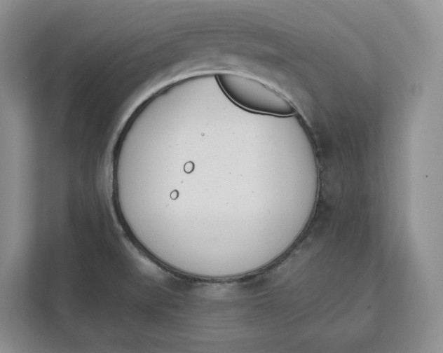 X0000111621519200908071340