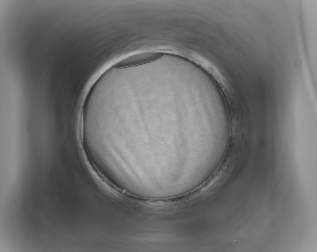 X0000111621520200908071340