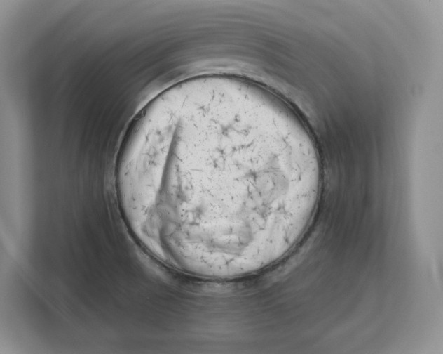 X0000111621521200908071340