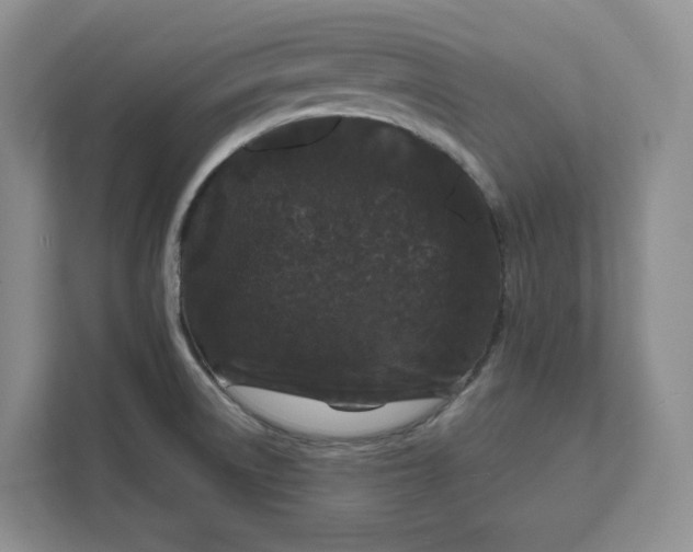 X0000111621522200908071340