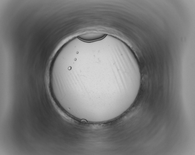 X0000111621523200908071340