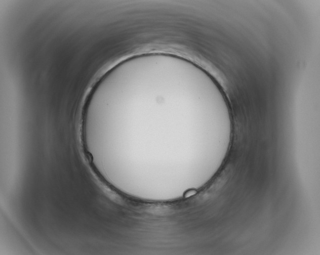 X0000111621525200908071340