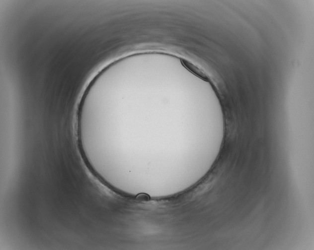 X0000111621527200908071340