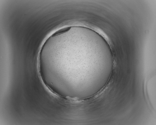 X0000111621528200908071340