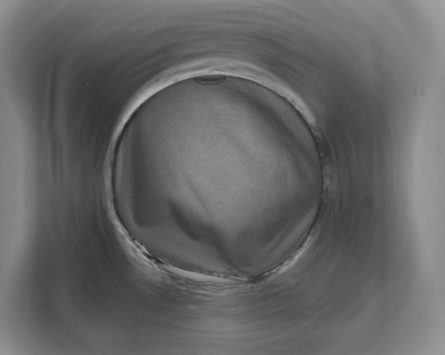 X0000111621530200908071340