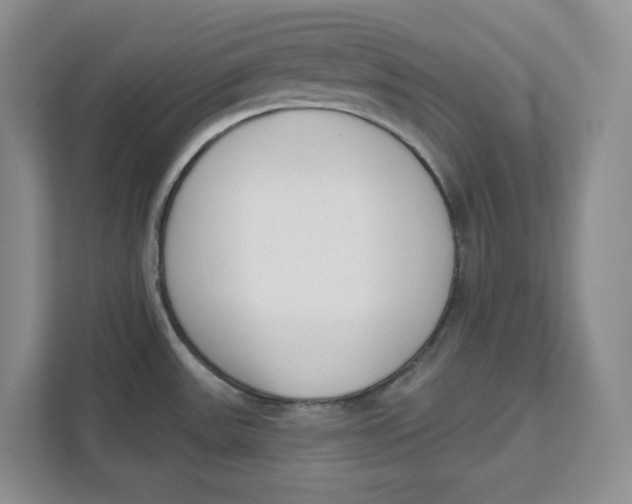 X0000111621531200908071340