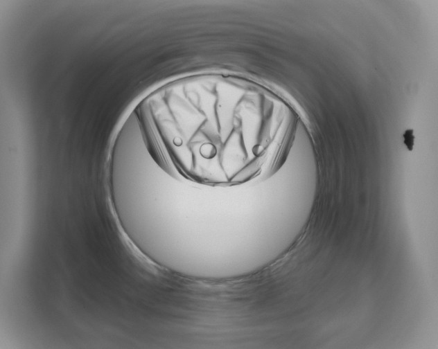 X0000111621532200908071340