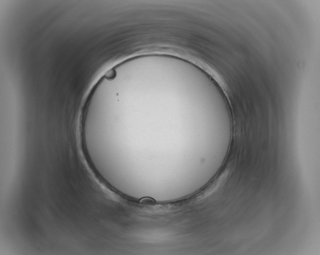 X0000111621533200908071340