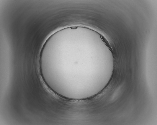 X0000111621534200908071341